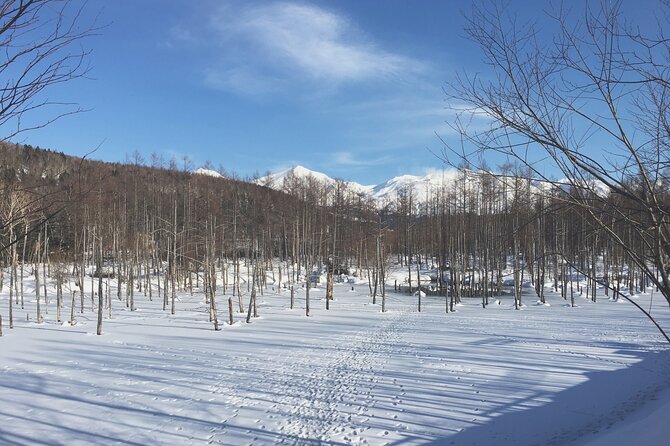 Visit Asahiyama Zoo, Fascinating Aoi-Ike and Shirohige Falls! - Directions to Asahiyama Zoo