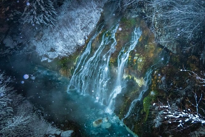 Asahiyama Zoo, Fascinating Aoi-Ike Light Up and Shirohige Falls in Winter! - The Sum Up