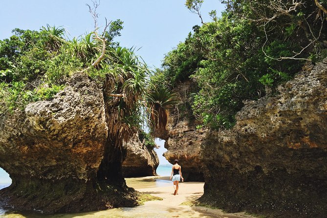 Okinawa Island Custom Half Day Tour - Customization and Itinerary