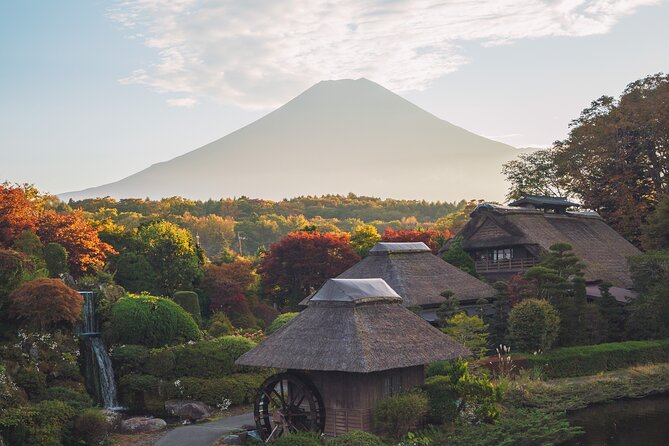 Mt Fuji :1-Day Private Tour With English-Speaking Driver - Customer Testimonials