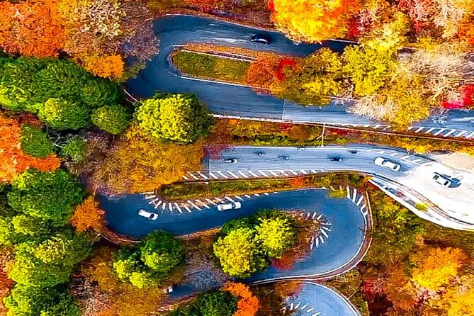 Nikko Private 1-Day Sightseeing Tour With English Speaking Guide - Tour Duration and Pick-up Location