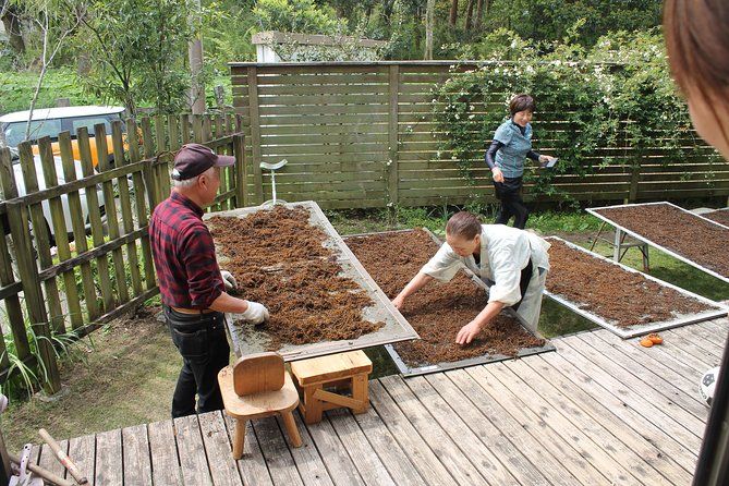 Japanese Food Cooking at Home - The Sum Up