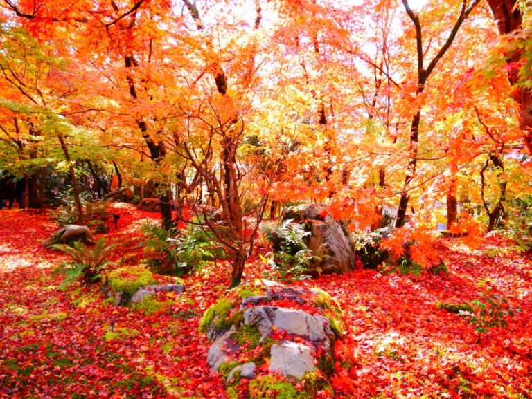 Eikan Do Zenrin Ji Temple Kyoto