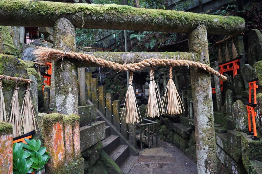 Fushimi Inari Hidden Hiking Tour - The Hidden Trails of Fushimi Inari