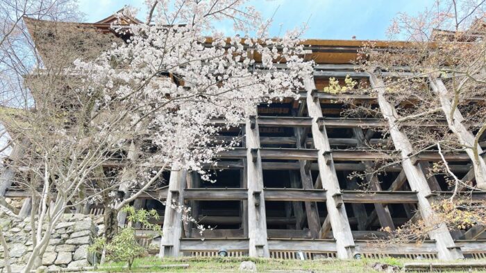 Kiyomizu Dera Kyoto
