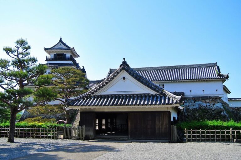Kochi Castle