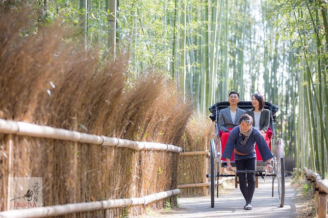 Kyoto Arashiyama Rickshaw Tour With Bamboo Forest - The Beauty of Arashiyama: A Scenic Introduction