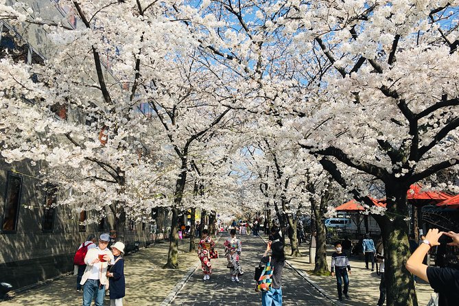 Kyoto Nishiki Market Food & Cultural Walking Tour - Indulge in the Flavors of Kyotos Culinary Delights