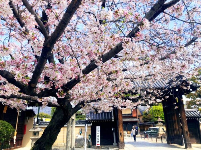 Mibu Dera Temple In Kyoto