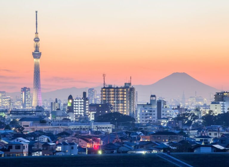 Mount Fuji Seen From Tokyo