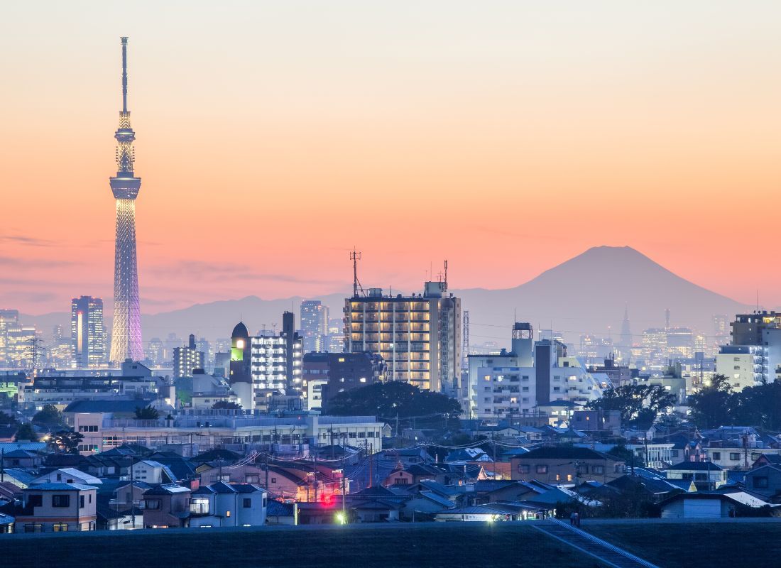 Mount Fuji Seen From Tokyo