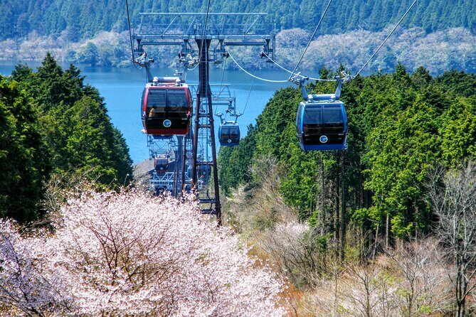 Mt Fuji And Hakone Day Bus Tour By Bus