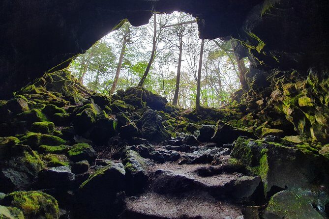 Mt Fuji Area Private Guided Tours In English Nature Up Close Quiet Personal