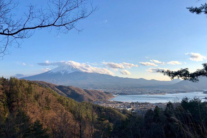 Mt Fuji Area Private Guided Tours In English Nature Up Close Quiet Personal