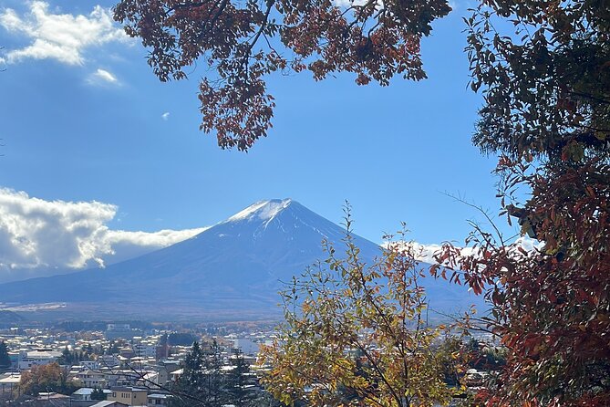 Mt Fuji Private Customize Tour With English Speaking Driver - Enjoying a Comfortable and Convenient Tour Experience
