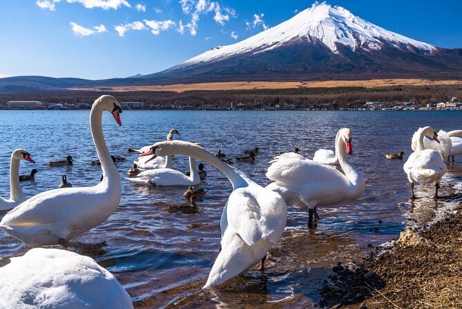 Mt Fuji Private Customize Tour With English Speaking Driver - Making the Most of Your Time With an English Speaking Driver