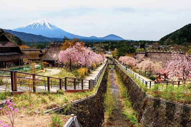 Mt Fuji Private Customize Tour With English Speaking Driver - Frequently Asked Questions