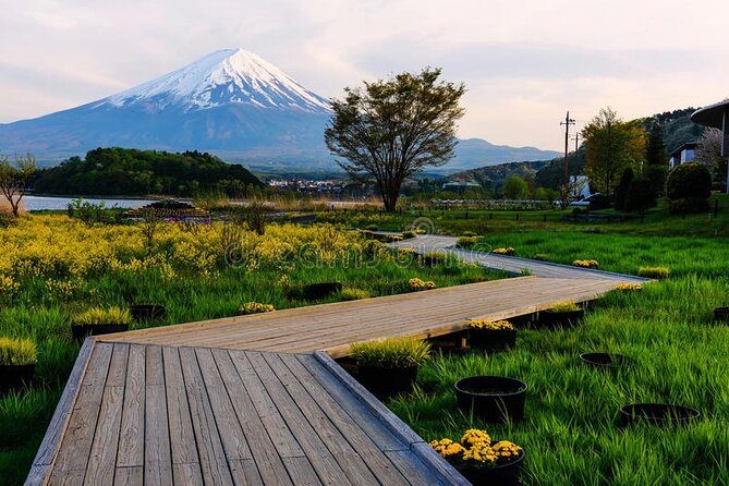 Mt Fuji Private Customize Tour With English Speaking Driver Key Takeaways
