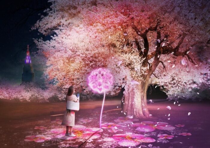 Naked Sakura Night Garden At Shinjuku Gyoen