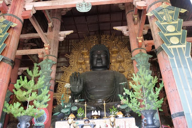 Nara Half Day Trip Walking Tour - Practical Information and Tips