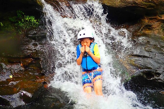 [Okinawa Iriomote] Sup/Canoe Tour at Mangrove Forest - Wildlife Encounters
