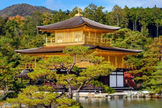 Perfect Kyoto Day Bus Tour