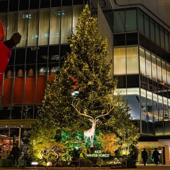 Photo Credit Tokyo Garden Terrace Kioi Winter Forest Illumination