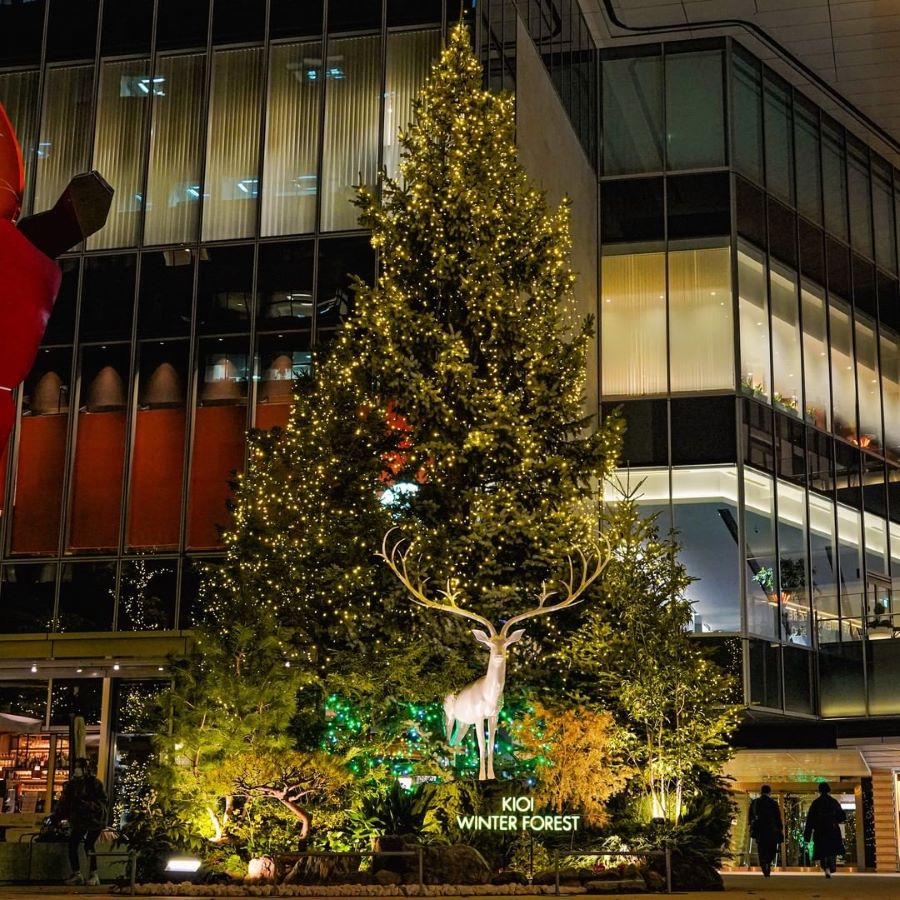 Photo Credit Tokyo Garden Terrace Kioi Winter Forest Illumination