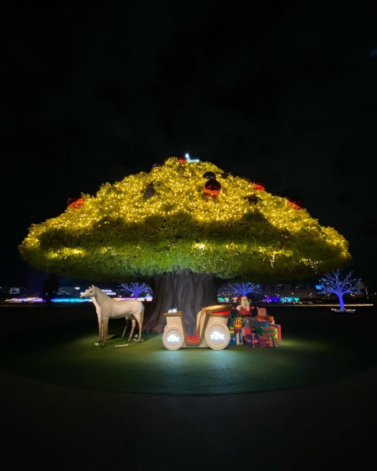 Photo Tokyo Mega Illumination Oi Racecourse