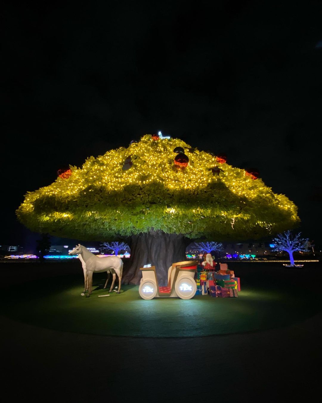 Photo Tokyo Mega Illumination Oi Racecourse