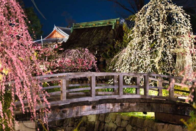 Plum Blossom Festival At Kitano Tenmang Shrine