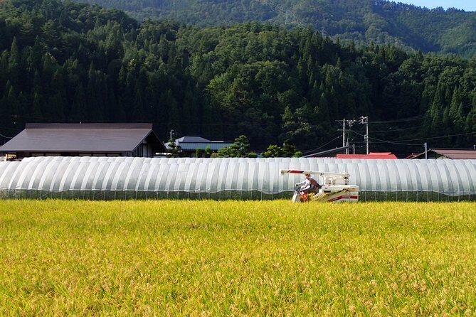 Private Afternoon Cycling Tour In Hida Furukawa