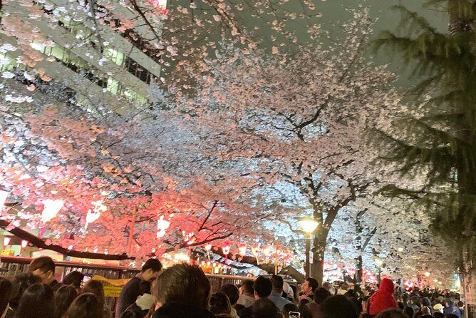 Private Custom Tour Tokyo In A Day