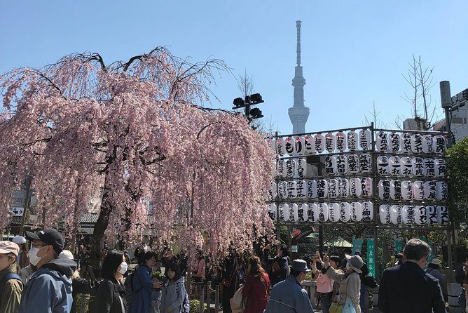 Private Custom Tour Tokyo In A Day