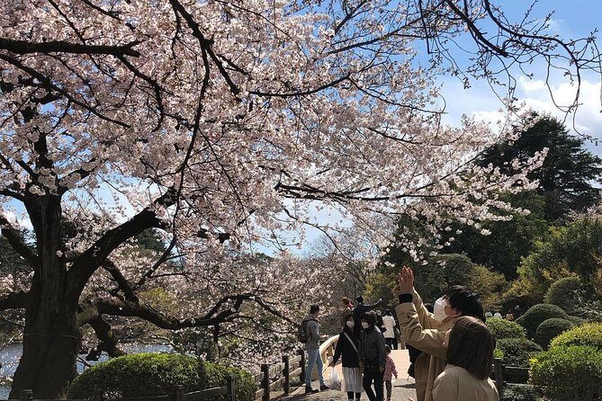 Private Custom Tour Tokyo In A Day