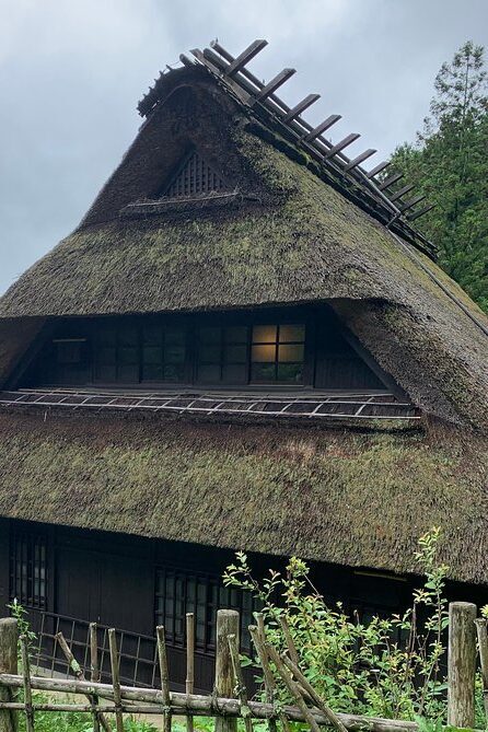 Private Full Day Sightseeing Tour To Mount Fuji And Hakone Guide