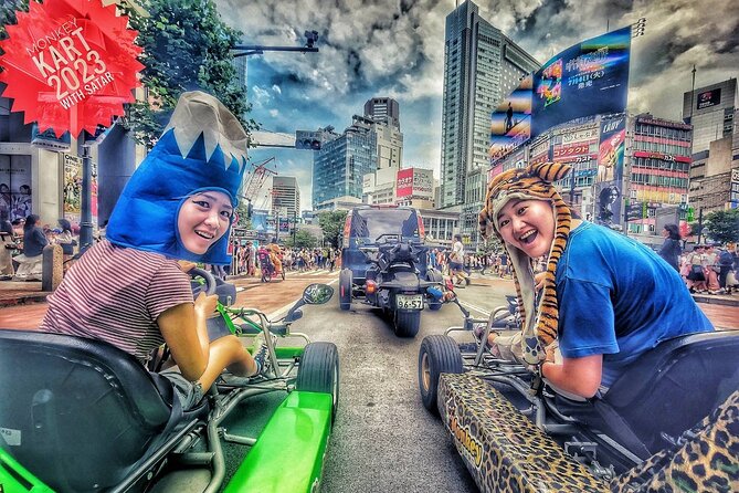Private Go-Karting Tour of Shinjuku With Cartoon Costumes - What to Expect on the Private Go-Karting Tour