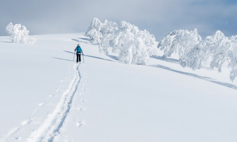 Skiing In Japan