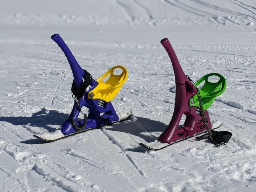 1 Day Tour: Snow Monkeys & Snow Fun in Shiga Kogen - Review Summary