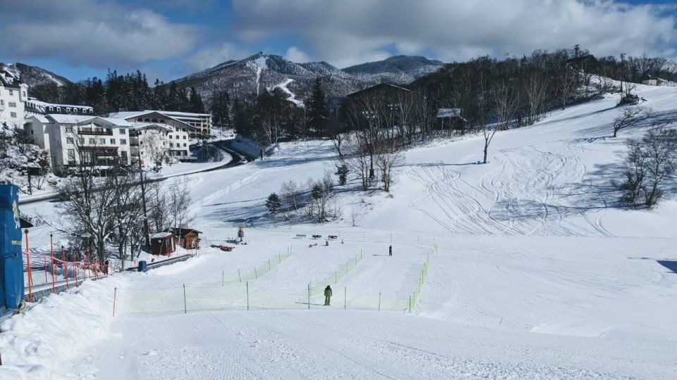 1 Day Tour: Snow Monkeys & Snow Fun in Shiga Kogen - Customer Reviews