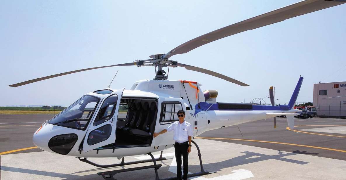 Helicopter Shuttle Service Between Narita and Tokyo - Experience Stunning Views From the Sky