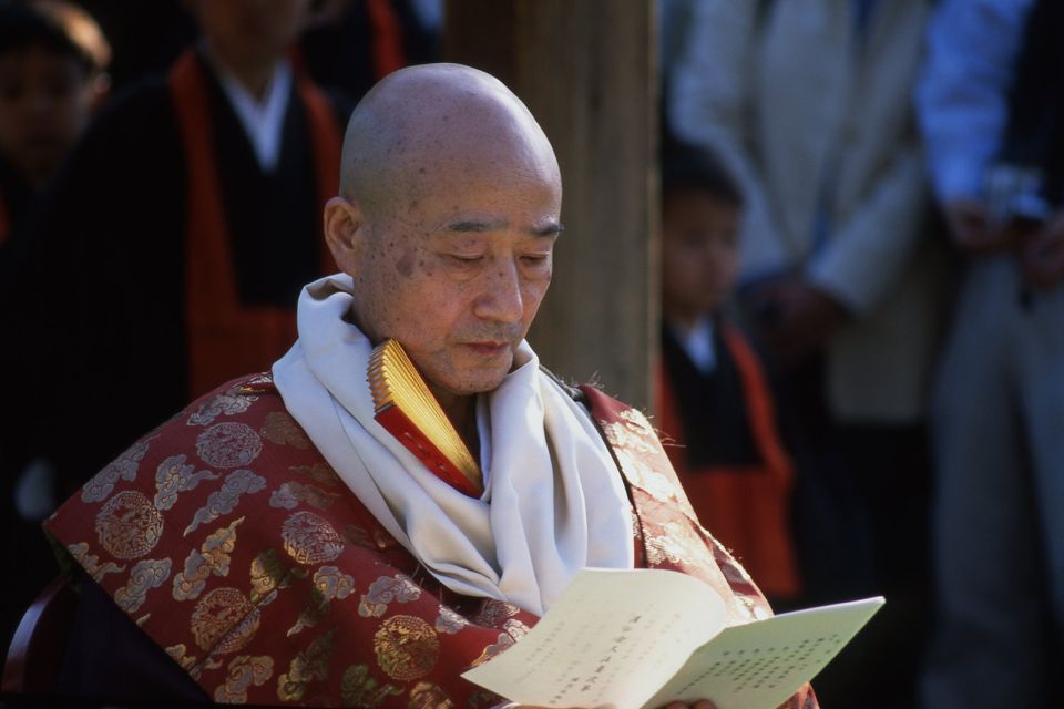 Tokyo Private Photo Tour With a Professional Photographer - Tour Highlights