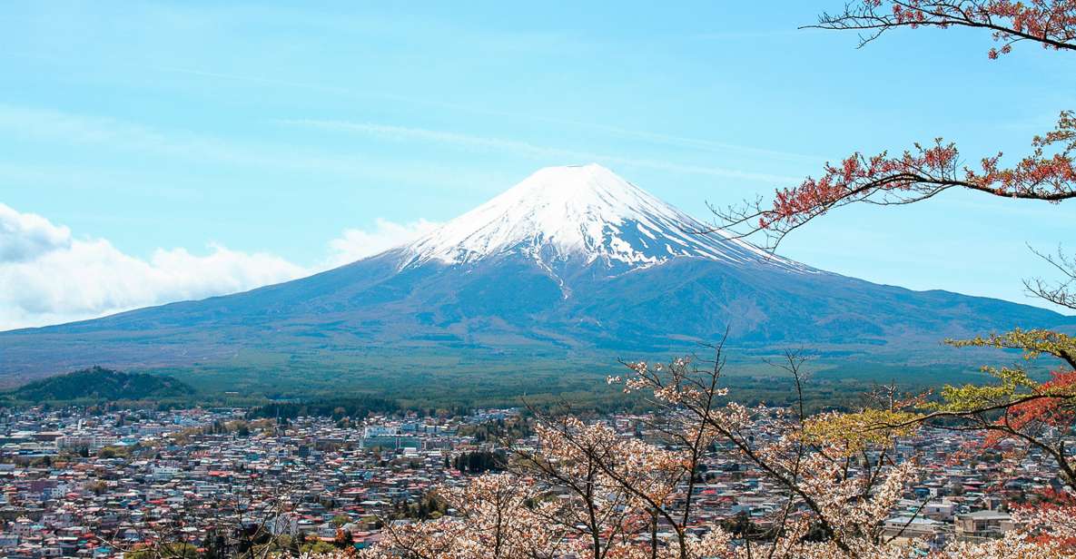 From Tokyo: Mt. Fuji Full-Day Sightseeing Trip - Highlights of the Trip