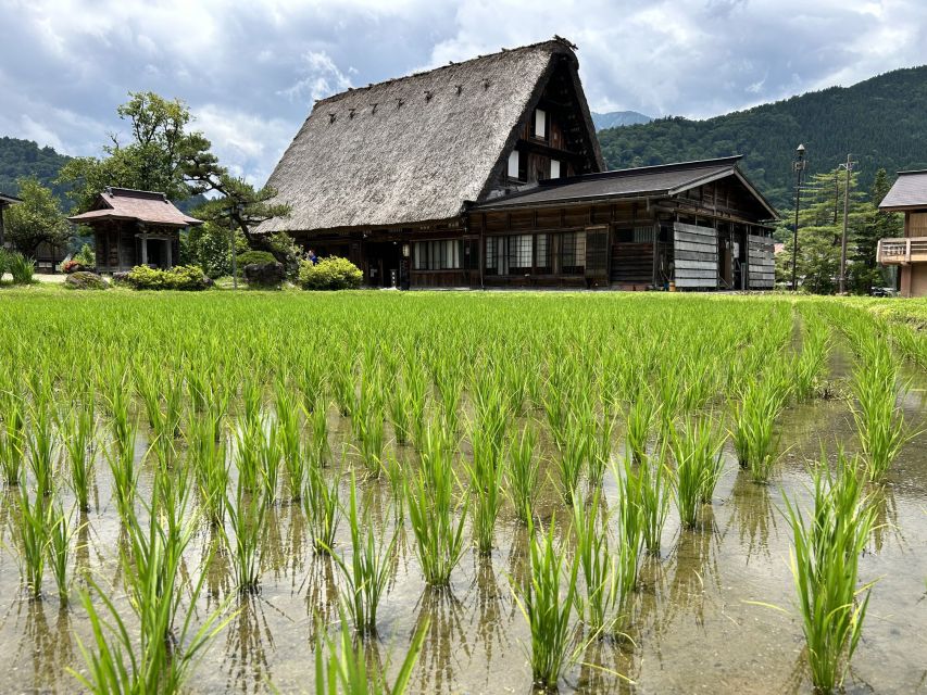 Kanazawa to Shirakawago: Half-Day Tour - Tour Reviews