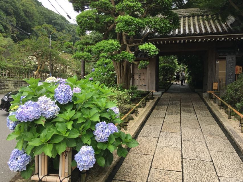 Kamakura: Private History and Heritage Tour by Rickshaw - Experience Kamakuras Heritage