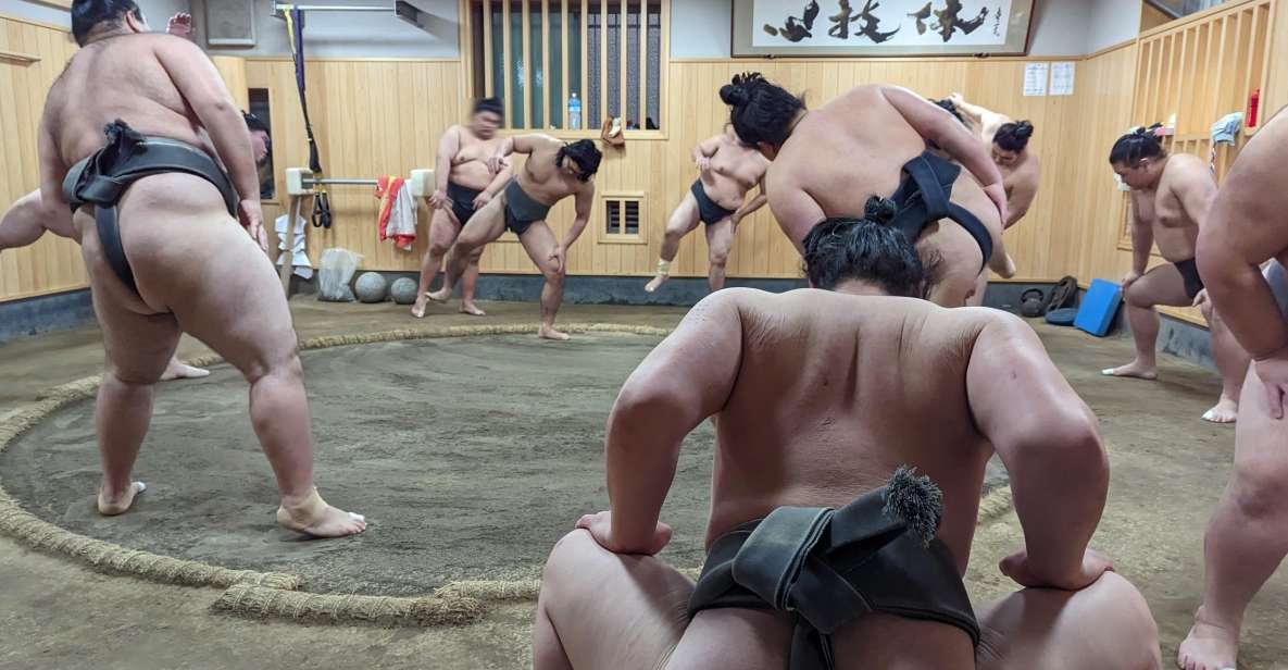 Tokyo: Morning Sumo Practice Viewing - What Is Morning Sumo Practice