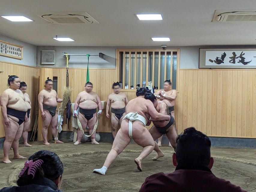 Tokyo: Morning Sumo Practice Viewing - What to Expect During Morning Sumo Practice