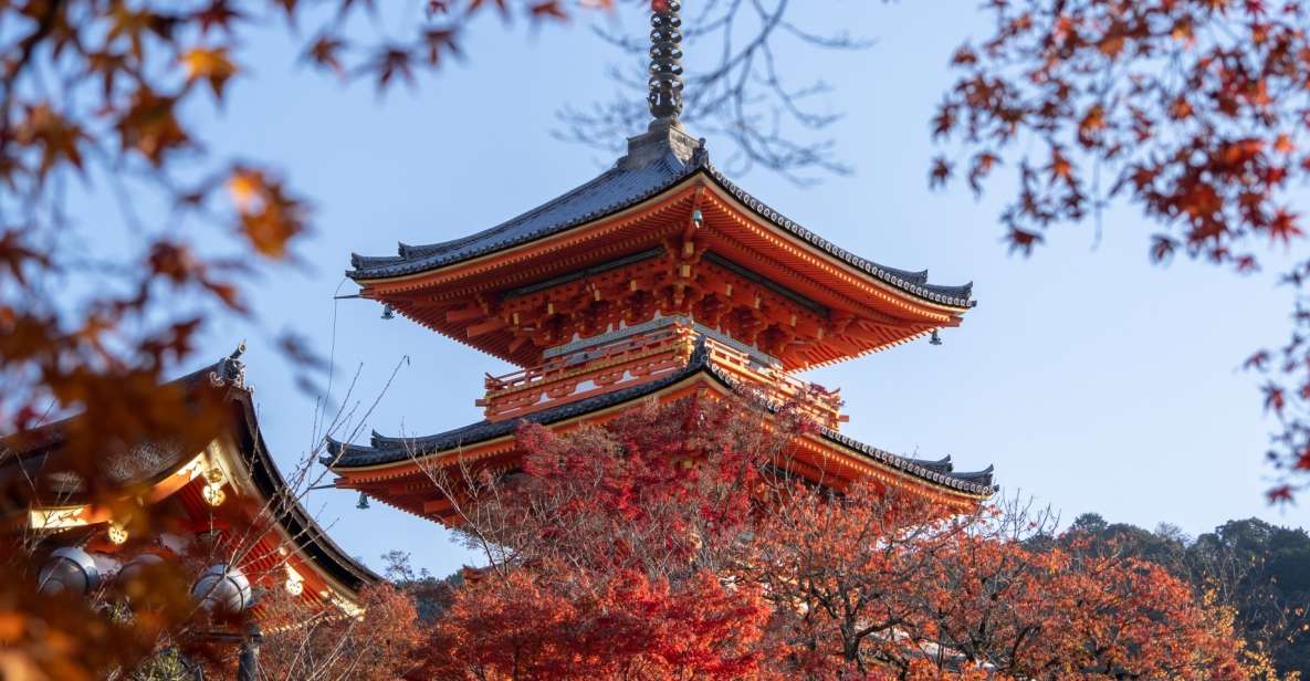 Kyoto: Personalized Guided Private Tour - Full Tour Description
