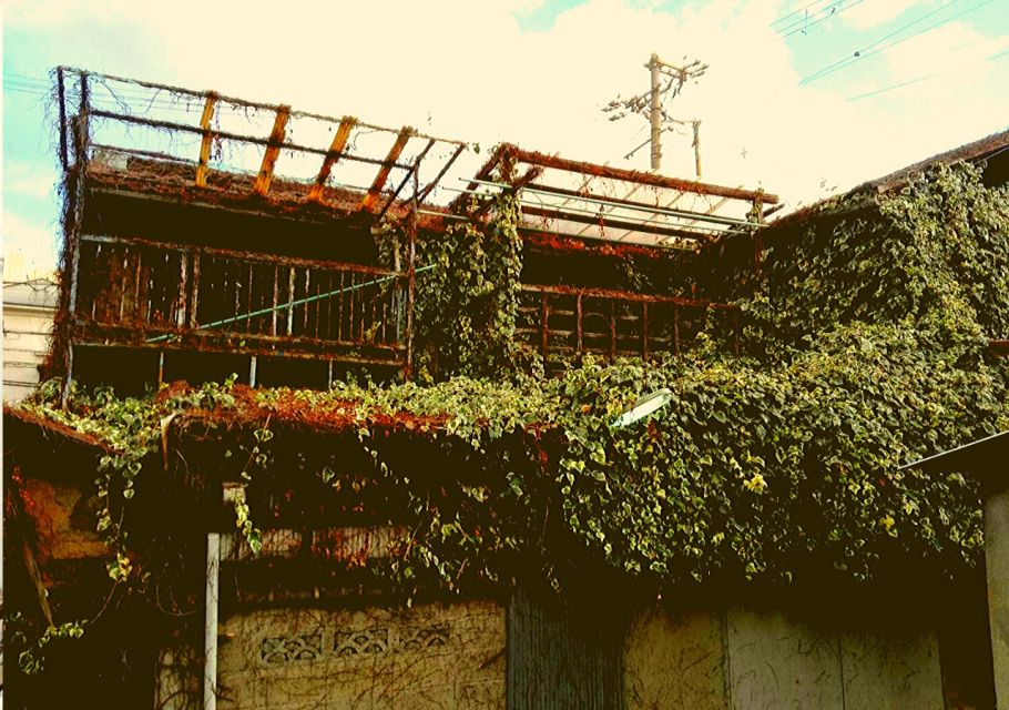 Osaka: Deep Backstreets Exploration - Unique, Preserved Historical Red Light District