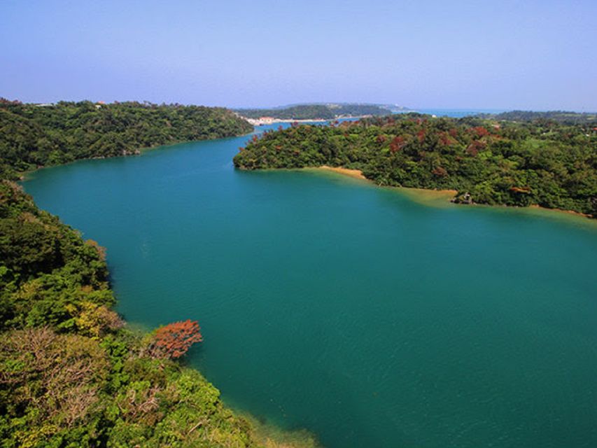 Naha: North Okinawa Sightseeing Tour & Churaumi Aquarium - Highlights of the Tour